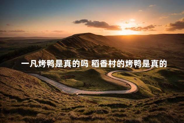 一凡烤鸭是真的吗 稻香村的烤鸭是真的吗